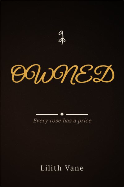 Dark Romance capa de livro: OWNED