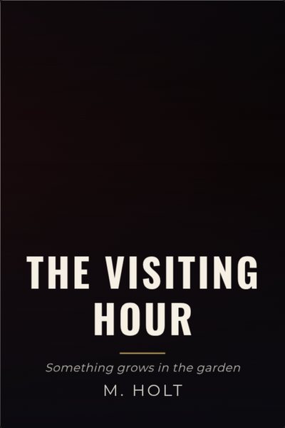 Horror copertina di libro: THE VISITING HOUR