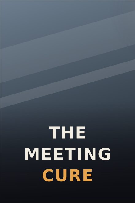 Não Ficção e Negócios capa de livro: THE MEETING CURE